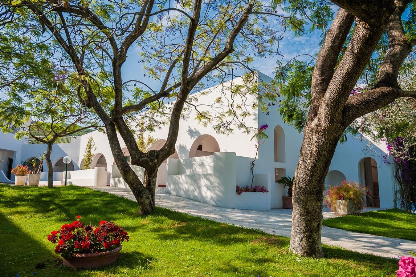 Cerchi un hotel a 4 stelle nel Golfo di Policastro? Hotel Torre Oliva offre camere con vista sul mare, un ristorante gourmet, servizi premium.